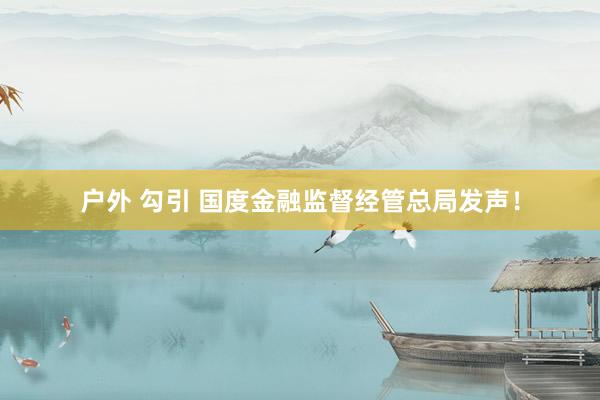 户外 勾引 国度金融监督经管总局发声！