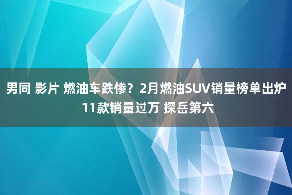男同 影片 燃油车跌惨?2月燃油SUV销量榜单出炉 11款销量过万 探岳第六