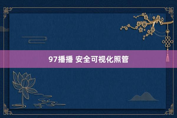 97播播 安全可视化照管
