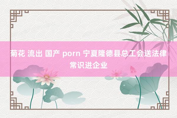 菊花 流出 国产 porn 宁夏隆德县总工会送法律常识进企业