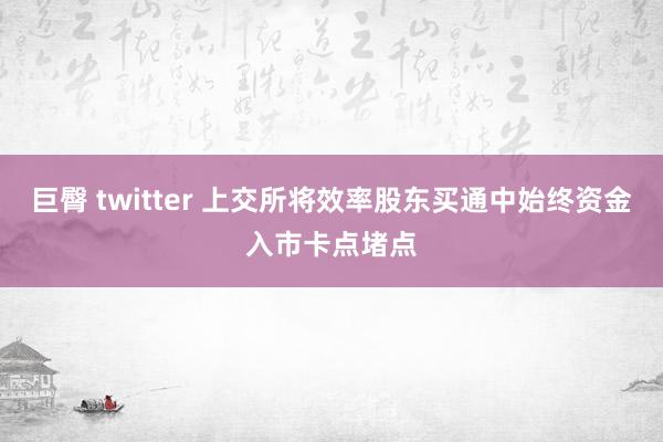 巨臀 twitter 上交所将效率股东买通中始终资金入市卡点堵点