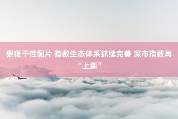 狠狠干性图片 指数生态体系抓续完善 深市指数再“上新”