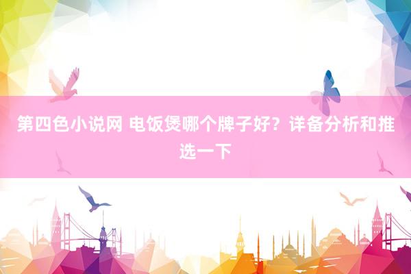 第四色小说网 电饭煲哪个牌子好？详备分析和推选一下