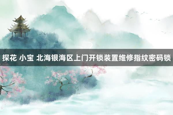 探花 小宝 北海银海区上门开锁装置维修指纹密码锁