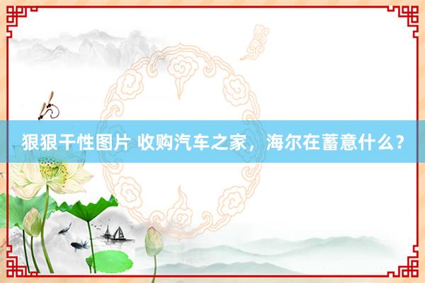 狠狠干性图片 收购汽车之家，海尔在蓄意什么？