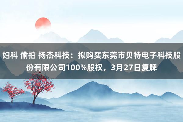 妇科 偷拍 扬杰科技：拟购买东莞市贝特电子科技股份有限公司100%股权，3月27日复牌