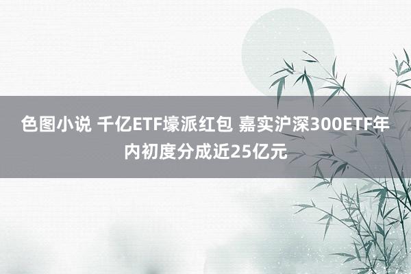 色图小说 千亿ETF壕派红包 嘉实沪深300ETF年内初度分成近25亿元