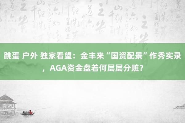 跳蛋 户外 独家看望：金丰来“国资配景”作秀实录，AGA资金盘若何层层分赃？