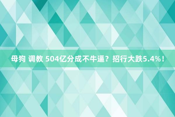 母狗 调教 504亿分成不牛逼？招行大跌5.4%！