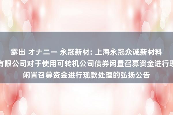 露出 オナニー 永冠新材: 上海永冠众诚新材料科技(集团)股份有限公司对于使用可转机公司债券闲置召募资金进行现款处理的弘扬公告