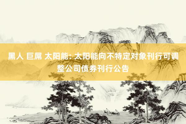 黑人 巨屌 太阳能: 太阳能向不特定对象刊行可调整公司债券刊行公告