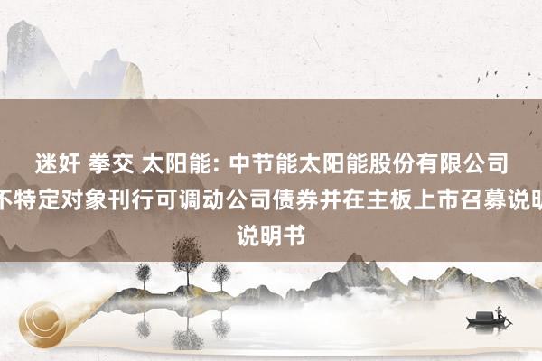 迷奸 拳交 太阳能: 中节能太阳能股份有限公司向不特定对象刊行可调动公司债券并在主板上市召募说明书