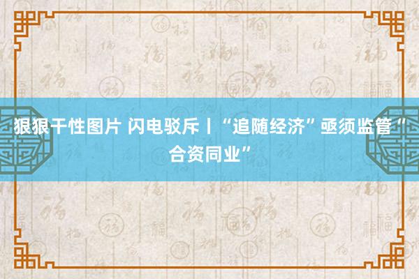 狠狠干性图片 闪电驳斥丨“追随经济”亟须监管“合资同业”