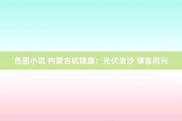 色图小说 内蒙古杭锦旗：光伏治沙 绿富同兴