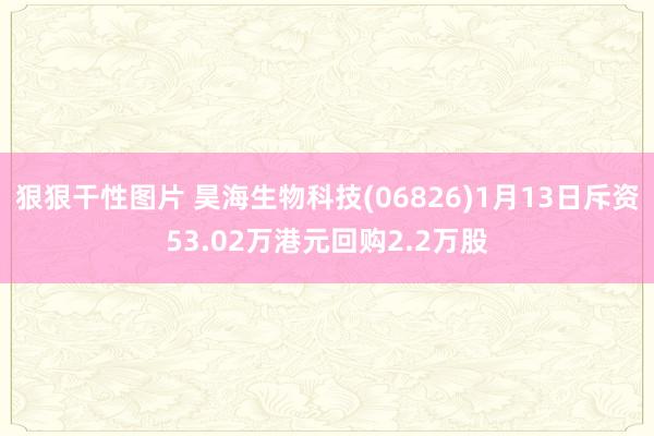 狠狠干性图片 昊海生物科技(06826)1月13日斥资53.02万港元回购2.2万股