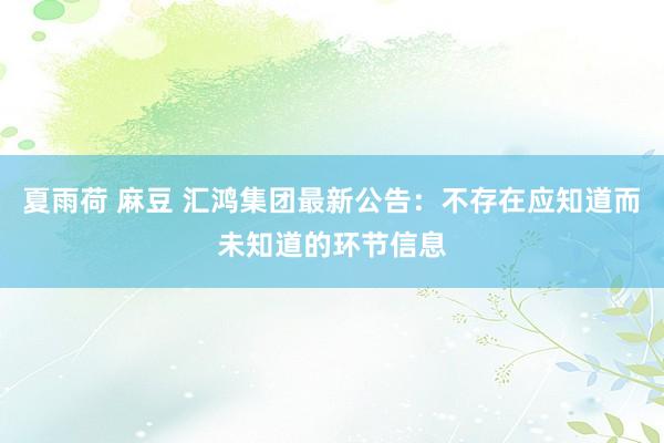 夏雨荷 麻豆 汇鸿集团最新公告：不存在应知道而未知道的环节信息