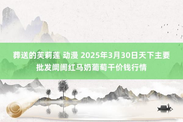 葬送的芙莉莲 动漫 2025年3月30日天下主要批发阛阓红马奶葡萄干价钱行情