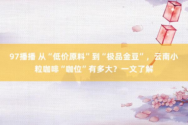 97播播 从“低价原料”到“极品金豆”，云南小粒咖啡“咖位”有多大？一文了解