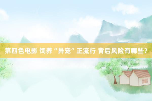 第四色电影 饲养“异宠”正流行 背后风险有哪些？