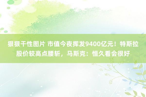 狠狠干性图片 市值今夜挥发9400亿元！特斯拉股价较高点腰斩，马斯克：恒久看会很好