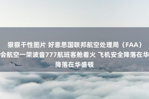 狠狠干性图片 好意思国联邦航空处理局（FAA）：聚会航空一架波音777航班客舱着火 飞机安全降落在华盛顿