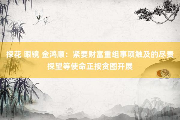 探花 眼镜 金鸿顺：紧要财富重组事项触及的尽责探望等使命正按贪图开展