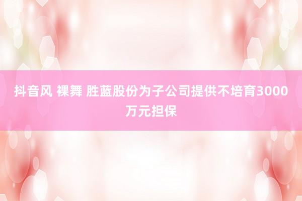 抖音风 裸舞 胜蓝股份为子公司提供不培育3000万元担保