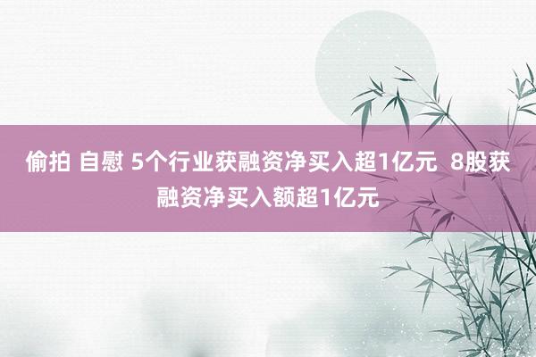 偷拍 自慰 5个行业获融资净买入超1亿元  8股获融资净买入额超1亿元