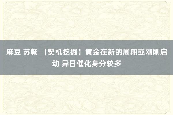 麻豆 苏畅 【契机挖掘】黄金在新的周期或刚刚启动 异日催化身分较多