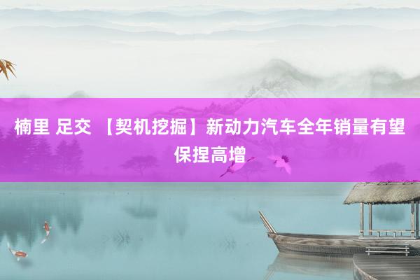 楠里 足交 【契机挖掘】新动力汽车全年销量有望保捏高增