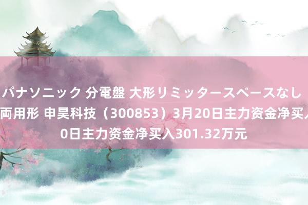パナソニック 分電盤 大形リミッタースペースなし 露出・半埋込両用形 申昊科技（300853）3月20日主力资金净买入301.32万元