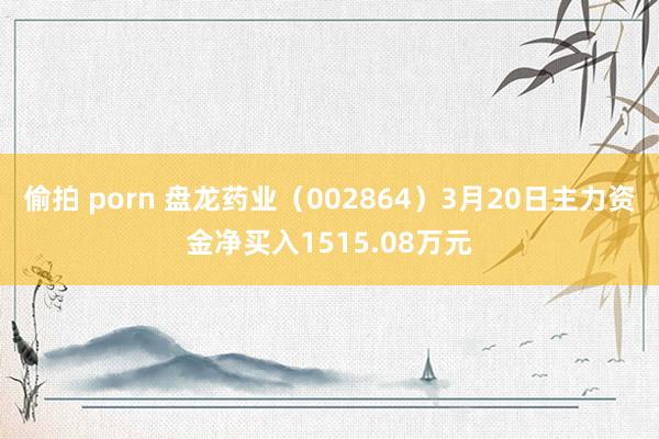 偷拍 porn 盘龙药业（002864）3月20日主力资金净买入1515.08万元