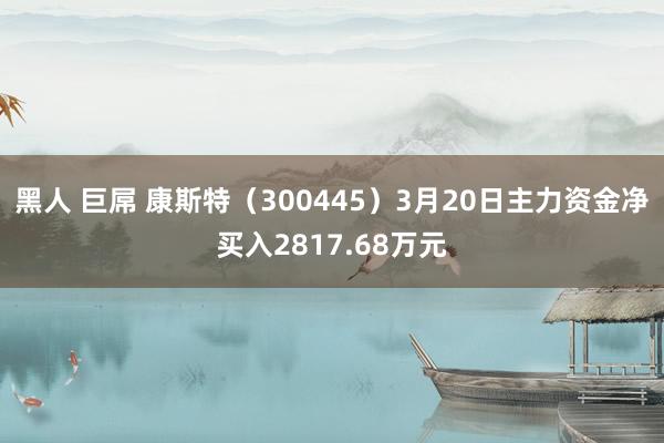 黑人 巨屌 康斯特（300445）3月20日主力资金净买入2817.68万元