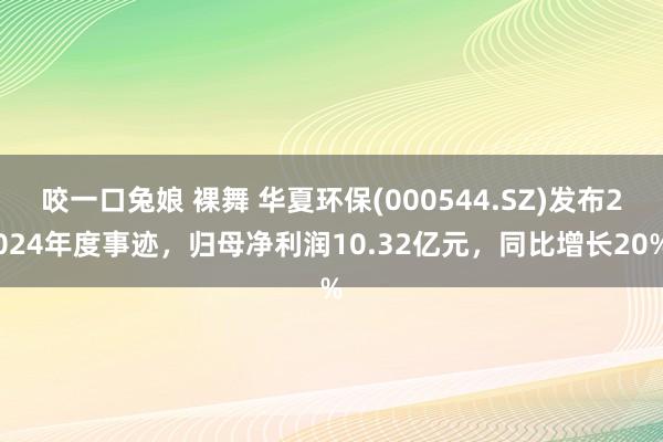 咬一口兔娘 裸舞 华夏环保(000544.SZ)发布2024年度事迹，归母净利润10.32亿元，同比增长20%