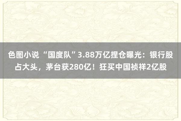 色图小说 “国度队”3.88万亿捏仓曝光：银行股占大头，茅台获280亿！狂买中国祯祥2亿股