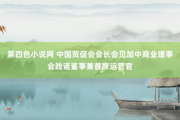 第四色小说网 中国贸促会会长会见加中商业理事会践诺董事兼首席运营官