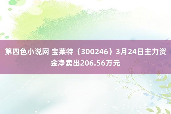 第四色小说网 宝莱特（300246）3月24日主力资金净卖出206.56万元