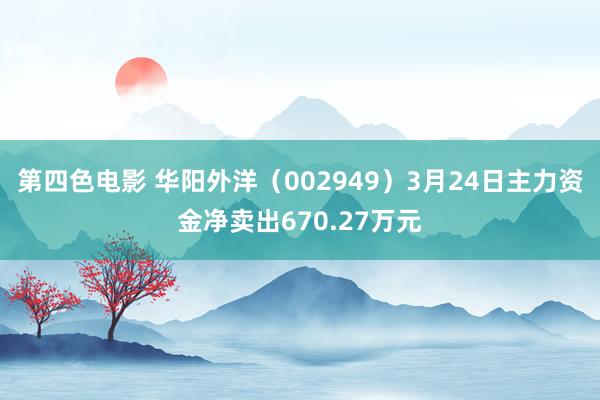 第四色电影 华阳外洋（002949）3月24日主力资金净卖出670.27万元