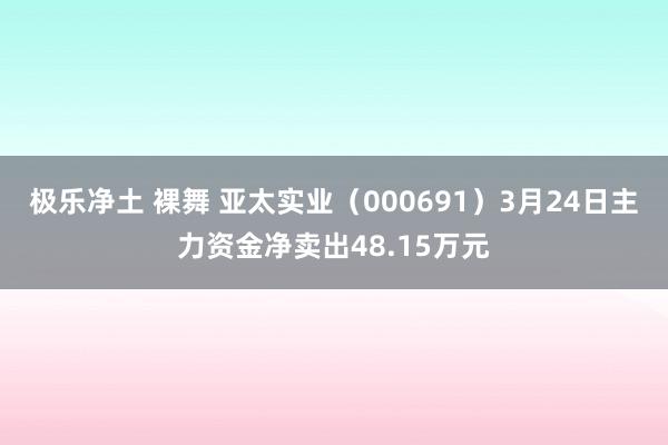 极乐净土 裸舞 亚太实业（000691）3月24日主力资金净卖出48.15万元