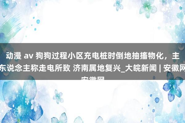 动漫 av 狗狗过程小区充电桩时倒地抽搐物化，主东说念主称走电所致 济南属地复兴_大皖新闻 | 安徽网