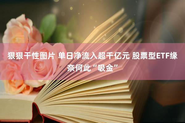 狠狠干性图片 单日净流入超千亿元 股票型ETF缘奈何此“吸金”
