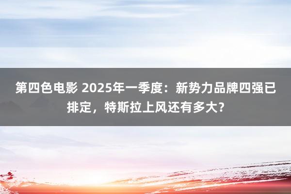 第四色电影 2025年一季度：新势力品牌四强已排定，特斯拉上风还有多大？