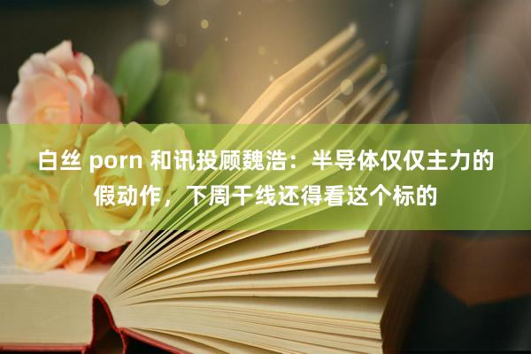 白丝 porn 和讯投顾魏浩：半导体仅仅主力的假动作，下周干线还得看这个标的