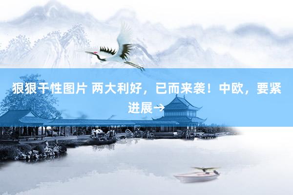 狠狠干性图片 两大利好，已而来袭！中欧，要紧进展→