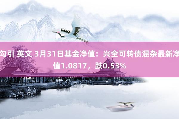 勾引 英文 3月31日基金净值：兴全可转债混杂最新净值1.0817，跌0.53%