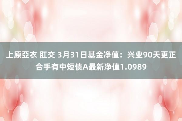 上原亞衣 肛交 3月31日基金净值：兴业90天更正合手有中短债A最新净值1.0989