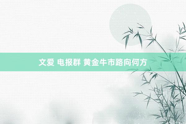 文爱 电报群 黄金牛市路向何方