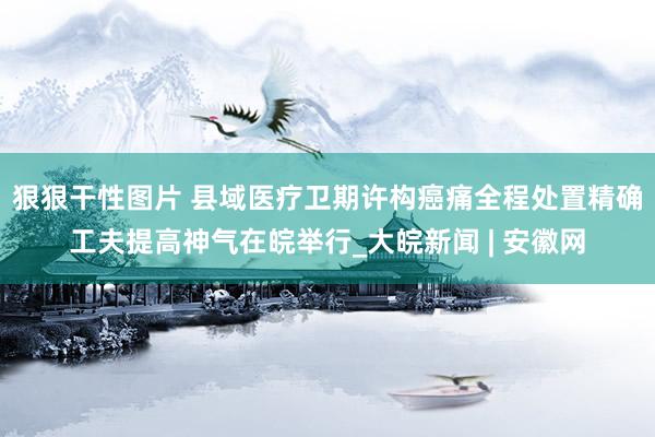 狠狠干性图片 县域医疗卫期许构癌痛全程处置精确工夫提高神气在皖举行_大皖新闻 | 安徽网