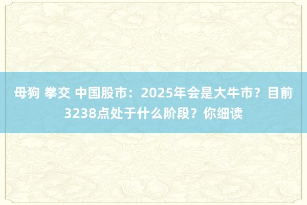 母狗 拳交 中国股市：2025年会是大牛市？目前3238点处于什么阶段？你细读