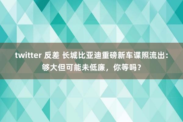 twitter 反差 长城比亚迪重磅新车谍照流出：够大但可能未低廉，你等吗？